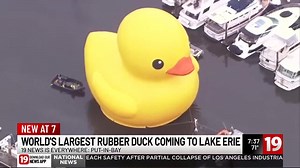World’s Largest Rubber Duck splashes down in Put-in-Bay