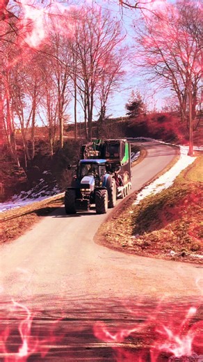 The Art of Timber Harvesting: Techniques and Practices