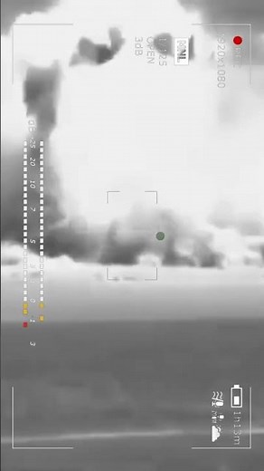 Rebzi, how do you deal with unwanted "guests" in the kitchen?🤔🤔🤘🏻