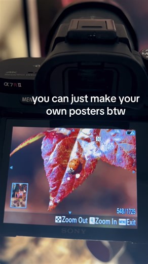 Create Stunning Posters from Your Photos Easily