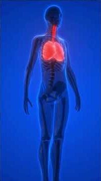 Ayurvedic Secrets for ASTHMA Relief Nobody Tells You