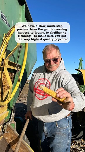 Ever wonder what it takes to produce the perfect popcorn? 🧐🌽 On Janie’s Farm, it takes a lot of time and care every step of the way! For example, instead of using the big combine to harvest popcorn, Farmer Harold rents an old-fashioned 3-row picker that carefully removes the ears from the stalks, and then feeds them into the harvest wagon. He uses the 3-row picker because the combine damages some kernels, meaning they won't pop. 🚜 Here are a few of the other things we do differently than most