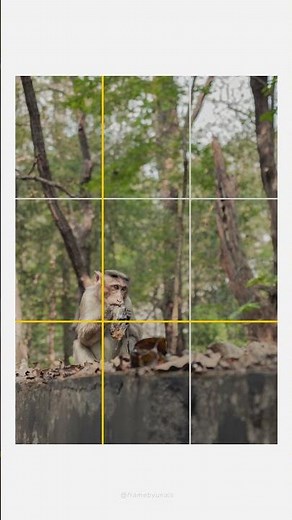 The Rule of Thirds is an easy technique to make your photos more balanced, interesting, and visually