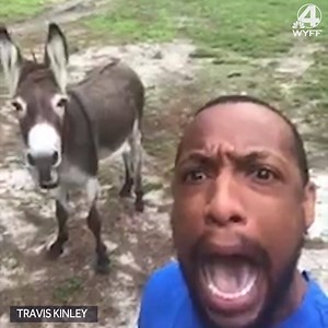 HILARIOUS! 🤣 This South Carolina man offered to sing this song as a pre-sermon at church🙏, and was getting video to show his friend. Who knew donkeys could sing?🎶r http://bit.ly/2Y7TrT4 | WYFF News 4