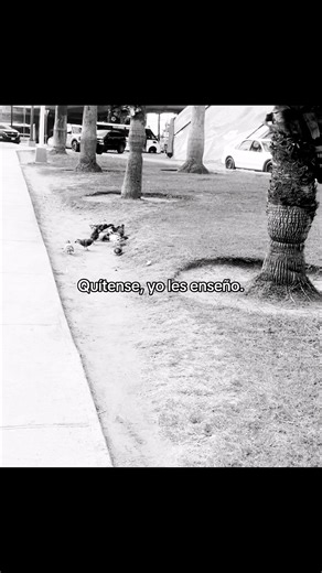 Aprende a Migajear con Estilo