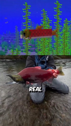 MINECRAFT EN LA VIDA REAL