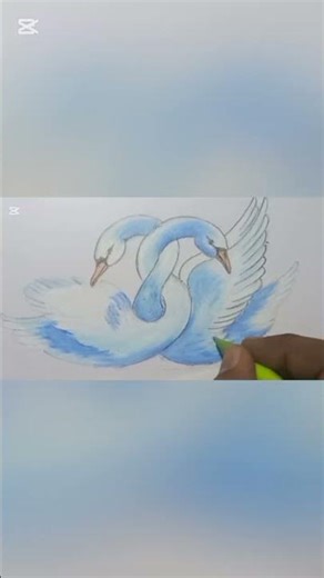 Relaxing Swan Drawing with Oil Pastels 🦢 | Bird Sound ASMR