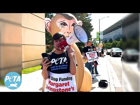 A Message for Animal Abusers Everywhere