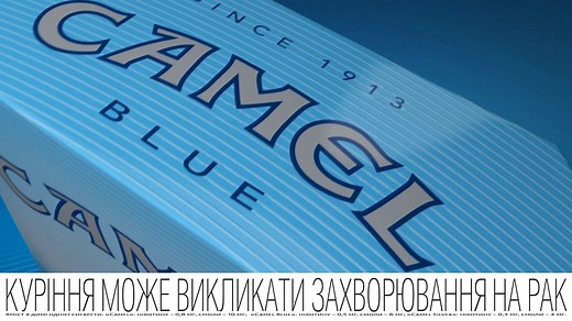 CAMEL New Curve Pack