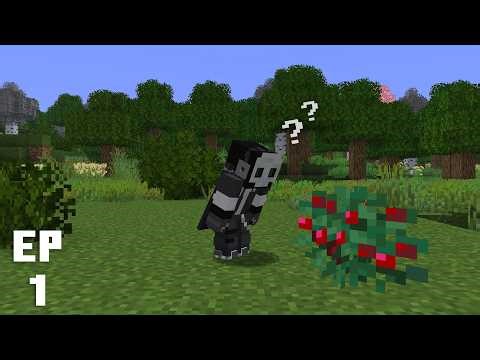 I've been waiting to play this modpack - Raspberry Flavoured