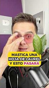 Masticar HOJA DE LAUREL para qué sirve - Dr. Bruno Román