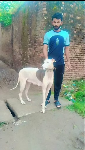 King Billa on TikTok