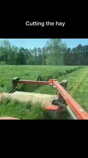 Quick Haymaking Process Explained