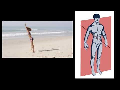 AQA GCSE PE Planes & Axes