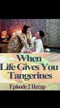 Busan Scam, Lost Everything, and Their Last Desperate Plan | When Life Gives You Tangerines Ep2