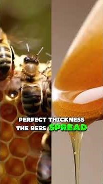 How Bees Keep Our Economy Buzzing