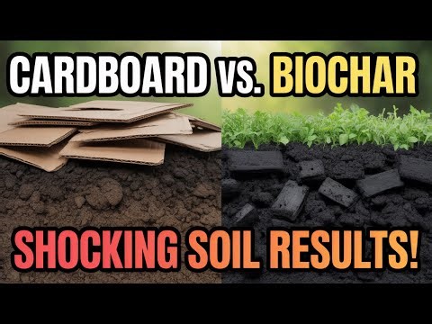 Cardboard vs Biochar: The Soil Experiment That Changed Everything!
