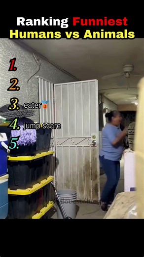 Ranking The Funniest Humans vs Animals Moments 😂😂