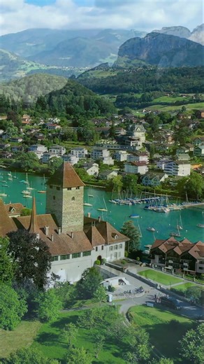 Walking through an alpine flower meadow | Swiss Alps + Irish Flute #shorts