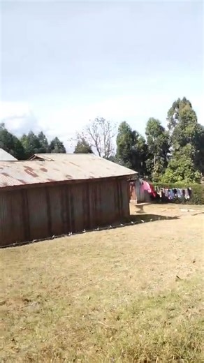 Prime Plot! Touching Tarmac ¼acres of land (69*126) At Ng'amba area Direct opposite farm feeds Asking price -4.7M Slightly Negotiable Ready Documents Direct owner Suitable for rentals or private settlement Nice land topography For viewing and bookings contact Jeff GGN Capital Investments ltd 0716209147 www.ggncapitalinvestments.co.ke #everyonehighlightsfollowerseveryonehighlightsfollowerseveryone #movetokikuyu #everyonehighlightsfollowers #followerseveryonehighlights #fbreelsfypシ゚viralシ #Nairobi