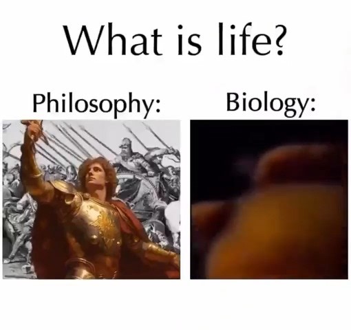 What is life? | Science Humor