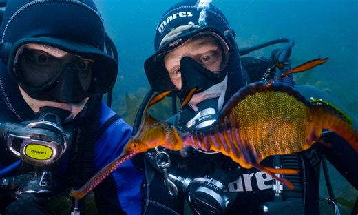 Checker Tobi und das Geheimnis unseres Planeten