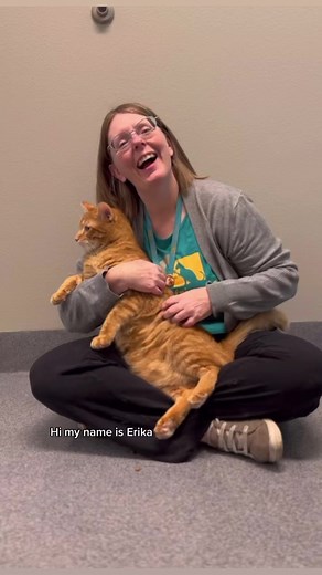 Are you wanting all the puppy and kitty snuggles without the life time commitment? 🤔 Have you considered fostering? We’d love to have you join our amazing team of fosters helping us with reducing the homeless pet population! Head to the link below to learn more about becoming a foster for Animal Friends Alliance! 🐾 savinganimalstoday.org/volunteer/become-a-foster/ | Animal Friends Alliance