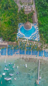 19K views · 178 reactions | Look no further @paradisebeachcozumel A...