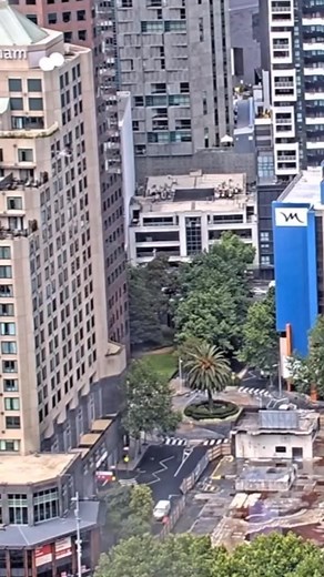 🪶 Falcon chick: *throws feather off ledge* Universe: *return to sender* While Melbourne’s famous Peregrine Falcon chicks might not have much luck sending other feathers flying, they’re about to use their own for lift-off any day now! They’re all grown up and ready to take their first flight, don’t miss the action! 🎥 Tune into the livestream: https://www.youtube.com/@367collinsfalcons4/streams The 367 Collins Street Falcons Livestream is led by the Victorian Peregrine Project (VPP), established