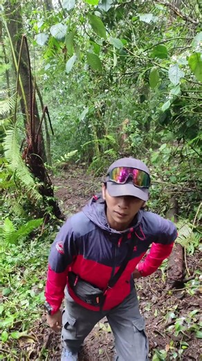 pohon Tumbang alami 🌿🤭 #pendaki #hiking #pendakigunung #gunung #adventure #gunungbukittunggul