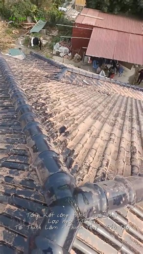 Tổng kết công trình mái nhật lợp ngói TTC A1 #mái_ngói_mmo #nhadep #motivation #shorts #viralvideo