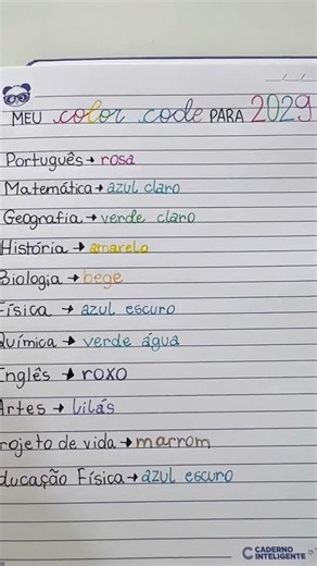 Meu COLOR CODE para 2029 💛💙🩷💜🩵💚🧡❤️