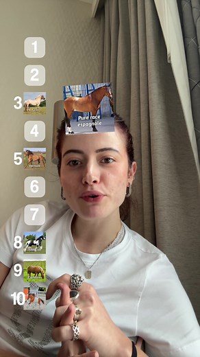 Classement des races de chevaux : top 10 selon Mathilde