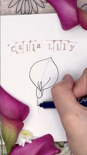 Drawing a Calla Lily using a simple guide ✨