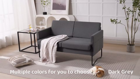 STHOUYN 51” Small Loveseat Sofa for Small Spaces, Comfy Grey Couch with 2 USB Ports, Modern 2 Person Sofa Loveseats for Living Room Bedroom, Mini Teen Office Couch (Dark Grey)