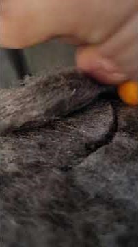 2012 kia soul 2.0 down stream o2 sensor location and removal