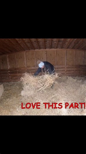 Come clean out the cow shelter with me! #shorts #farmlife