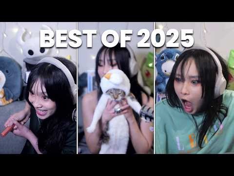BEST OF 2025 - The Funniest and Best Clips!