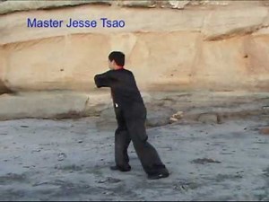Yang Tai Chi Taiji Fast Form