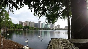 Orlando Florida Lake Eola city scape