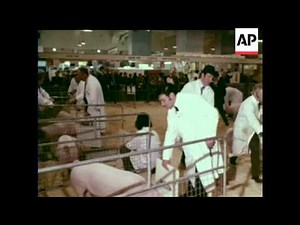 SMITHFIELD SHOW - COLOUR