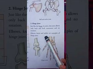 The skeletal system - joints, types of joints | Science | Grade 5 | Lots Of Tutorials