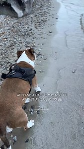 120K views · 19K reactions | SOOKIE APPRECIATION POST ❤️ my sweet and...