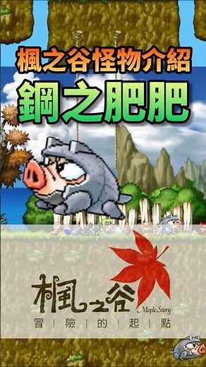 帶你認識楓之谷的怪物 鋼之肥肥 #maplestory #楓之谷 #怪物圖鑑