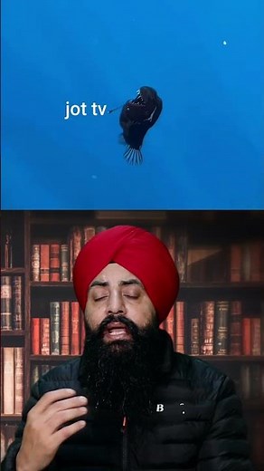 Rising from the Depths: Bizarre Deep Sea Creatures Invade the Shoreline 🌊#DeepSeaCreatures #Ocean