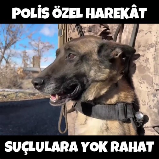 Polis Özel HarekâtSuçlulara Yok Rahat #PÖH [Cashflow X BEN FERO X KESKİN - Sahne Bizim]