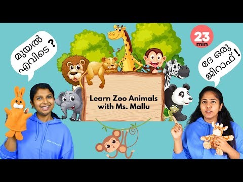 Toddler learning with Ms Mallu - Learn Zoo Animals - Kids songs - Educational Videos for Toddlers