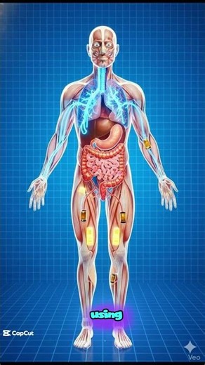 Your Body Charges Itself Like a Power Bank #brainfacts #brainpower #weirdscience #whatif