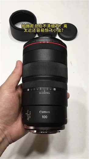 Canon EOS RF24-70、RF70-200、RF24-105全画幅二手微单镜头评测，95新RF100mm F2.8 L微距开箱推荐，好用吗？怎么样？