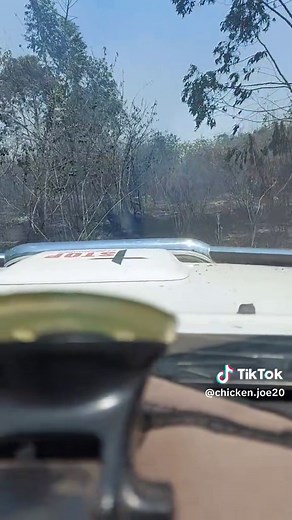 Chicken Joe on TikTok